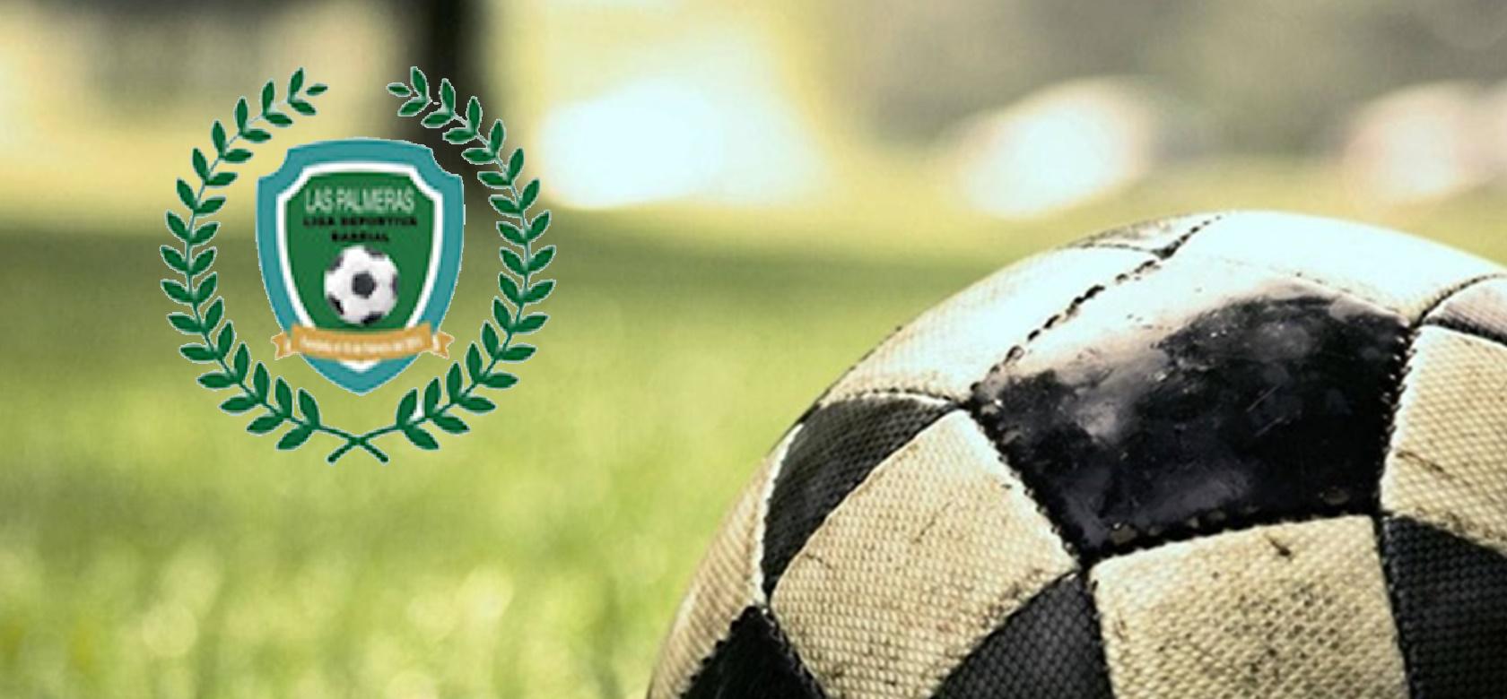 Liga Deportiva Barrial Las Palmeras